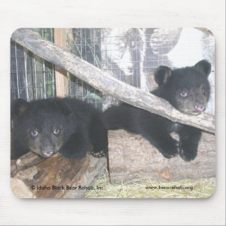 Washington junta Mousepad 2009