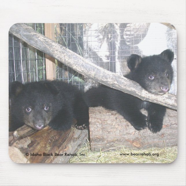 Washington junta Mousepad 2009 (Frente)