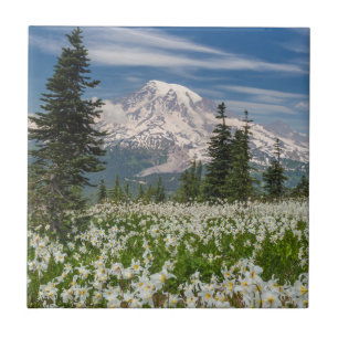 Washington, Parque Nacional Mount Rainier 1