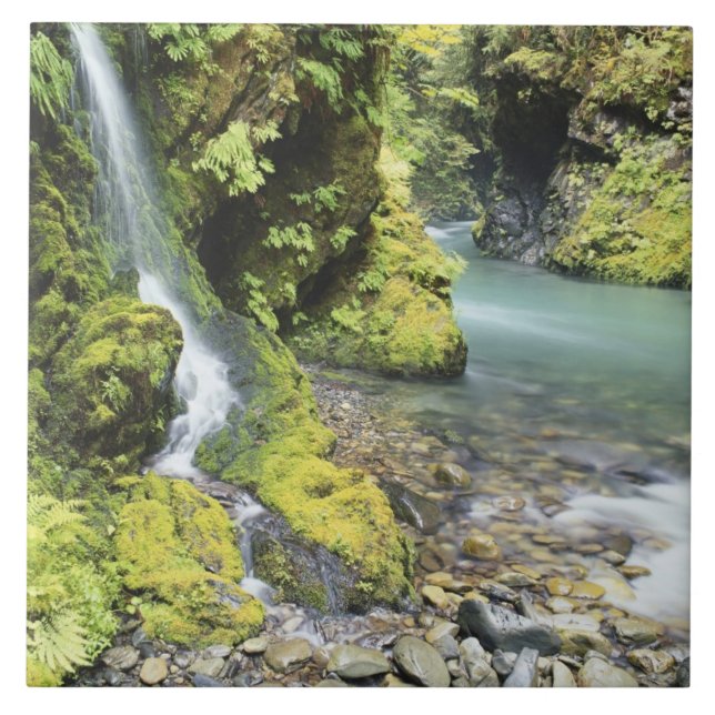 Washington, Parque Nacional Olímpico, Sazonal (Frente)