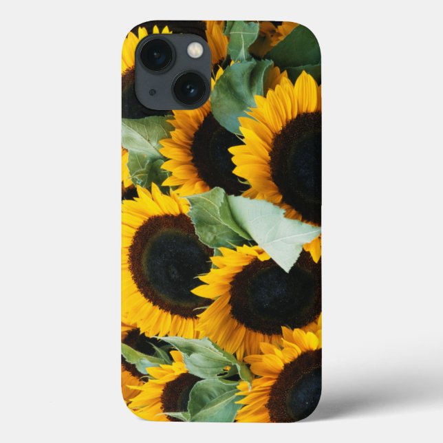 Washington, Seattle, girassol para venda (Verso)