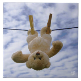 Waslijn met knuffelbeer die hangt te drogen.