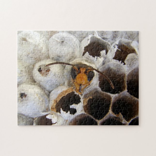 Wasp Emerging from Nest Photo Quebra-cabeça & Gift (Horizontal)