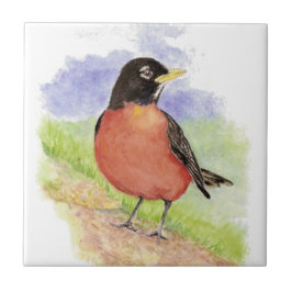 Watercolor American Robin Wildlife Nature art