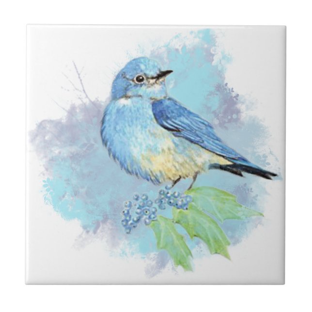 Watercolor Bluebird no Oregon Grape Bird Nature (Frente)