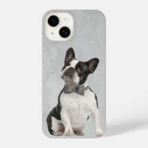 Watercolor Boston Terrier Dog Pet Animal Nature