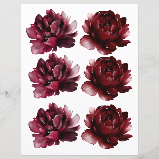 Watercolor Burgundy Rosa vermelha 2 Sided Scrapboo (Frente)