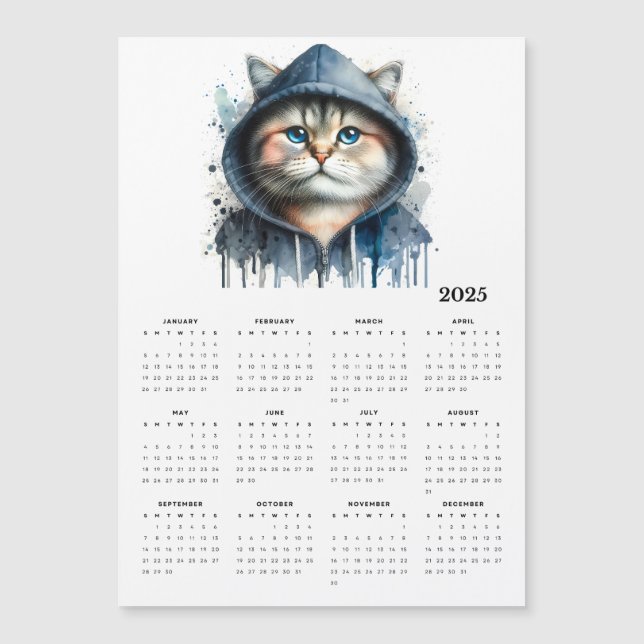 Watercolor Cat in Hoodie Splash Calendar 2025 (Frente)