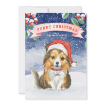 Watercolor Christmas Sheltie Furry Cartão de Natal