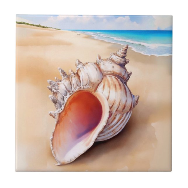 Watercolor Conch Shell na Praia (Frente)