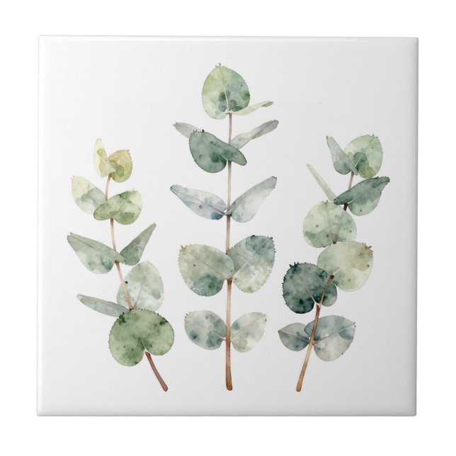 Watercolor Eucalyptus Leaves Botanical (Frente)