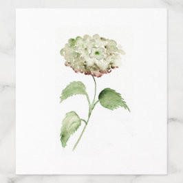 Watercolor Hydrangea