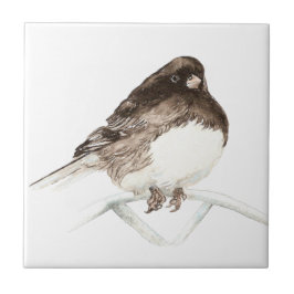 Watercolor Junco Bird Art