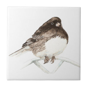 Watercolor Junco Bird Art