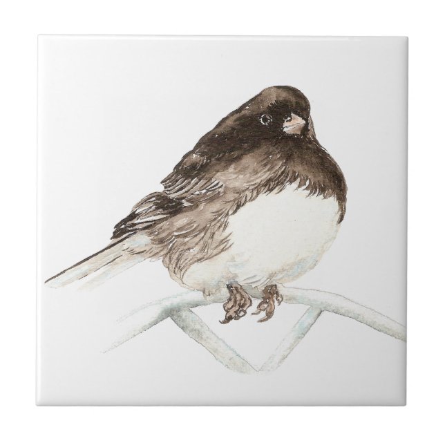 Watercolor Junco Bird Art (Frente)