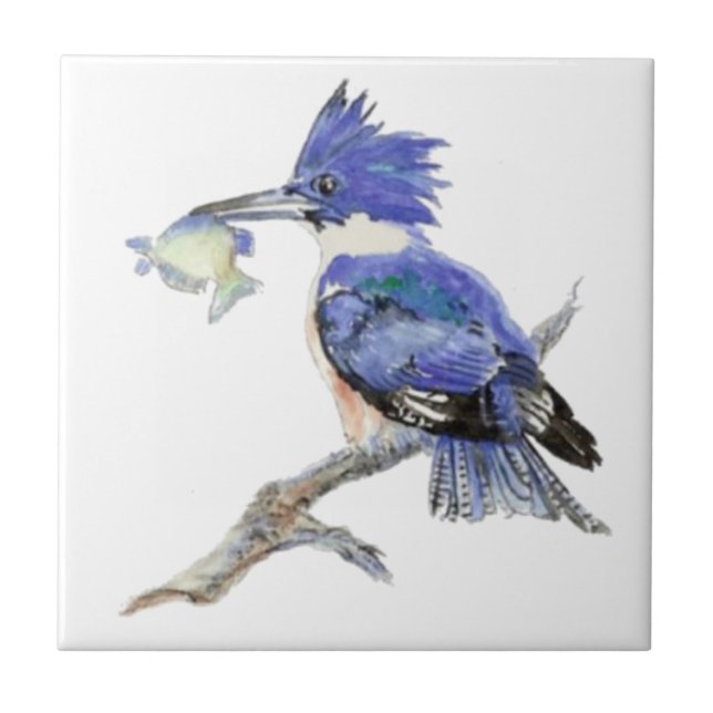 Watercolor Kingfisher Bird Willife (Frente)
