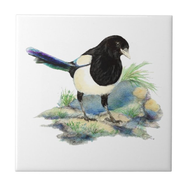 Watercolor Magpie Bird Olhando para você (Frente)