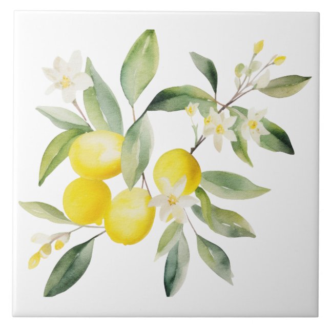 Watercolor Mediterranean  (Frente)