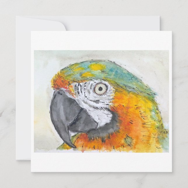 Watercolor of Parrot on Flat Card (Frente)