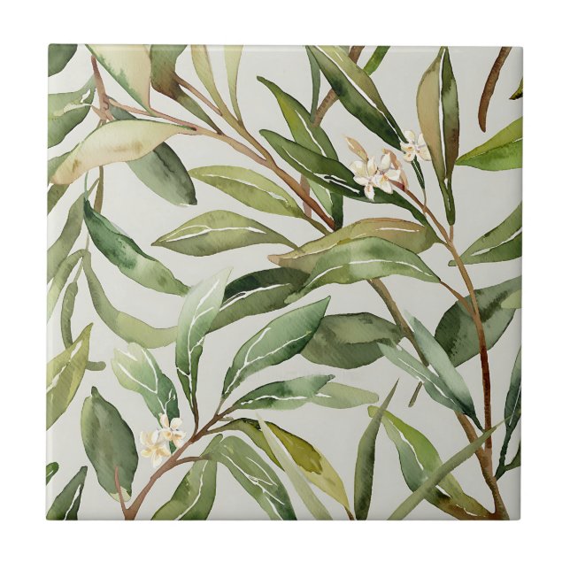 Watercolor Olive Branches Botanical (Frente)
