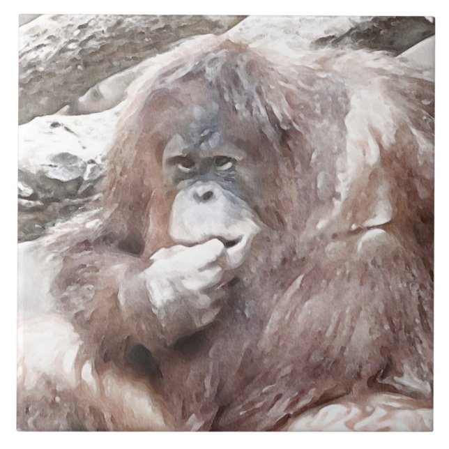 Watercolor Olot 2 (Frente)