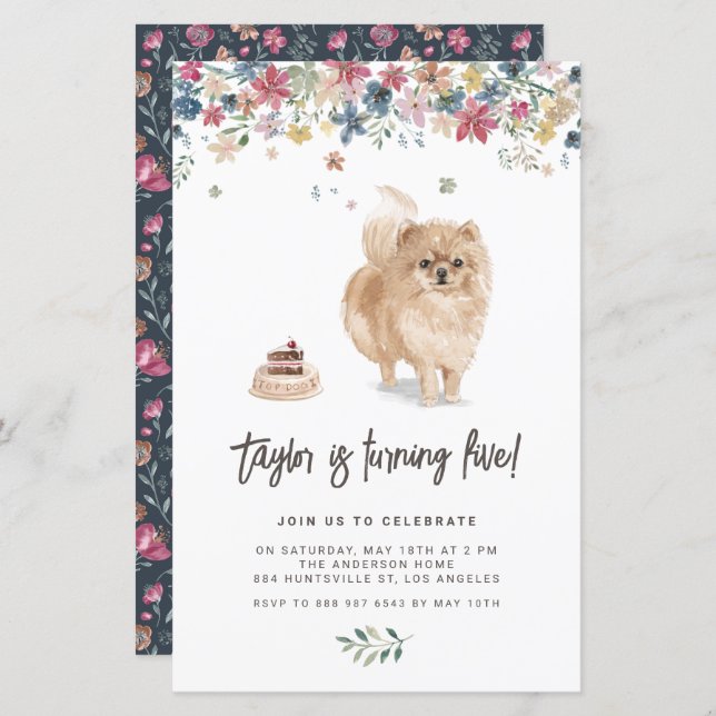 Watercolor Pomeranian Dog Birthday Invent (Frente/Verso)