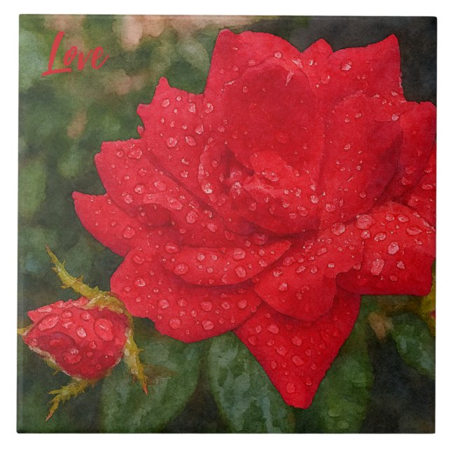 Watercolor Rose (Frente)