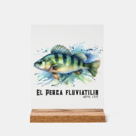 Watercolor Series: Perch