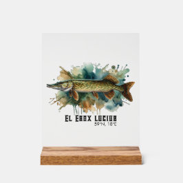 Watercolor Series: Pike