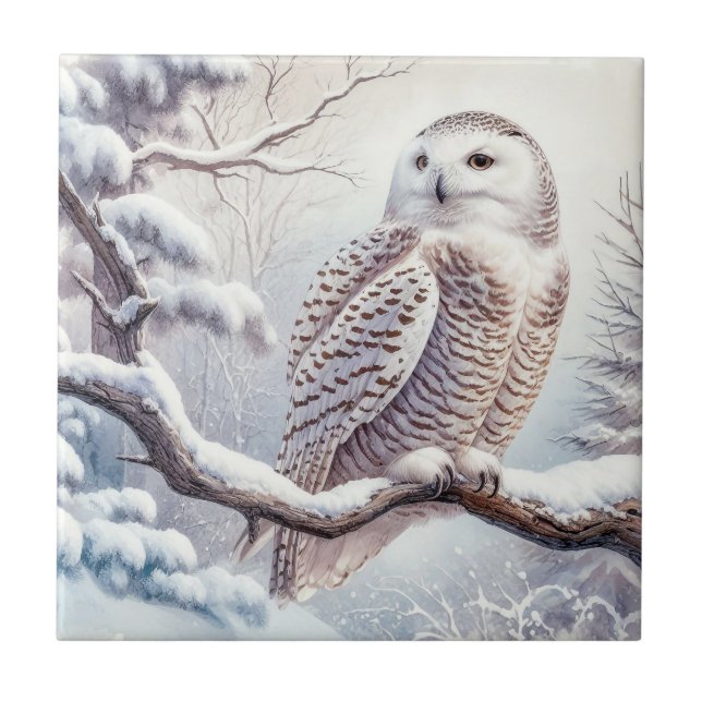 Watercolor Snowy Owl (Frente)