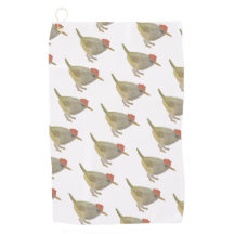 Watercolor Songbird Mountain Tailorbird