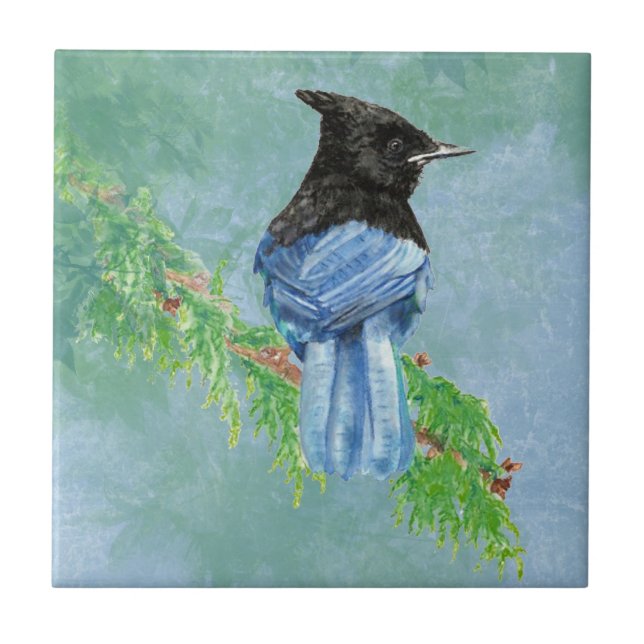 Watercolor Stellar Jay Bird Willife Art (Frente)