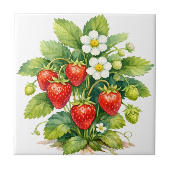 Watercolor Strawberries and Berry Blossom  (Frente)