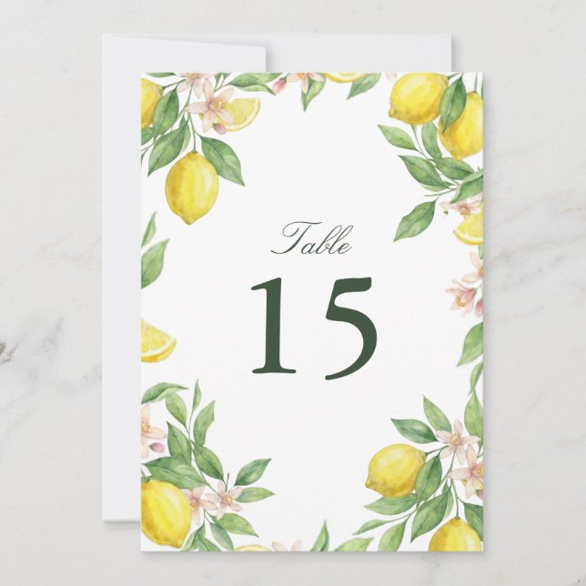 Watercolor Wreath Mediterranean Citrus Wedding (Frente)