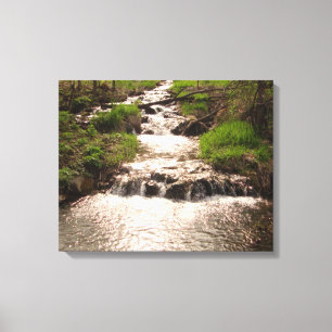 Waterfall Nature Woods Fotografia Canvas Imprimir 