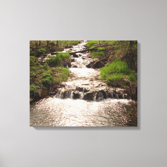Waterfall Nature Woods Fotografia Canvas Imprimir  (Frente)
