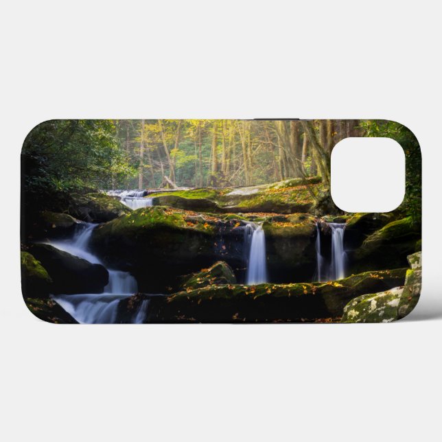 Waterfalls | Great Smoky Mountain National Park (Verso (horizontal))
