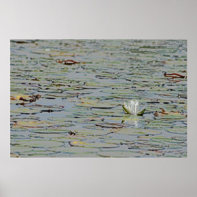 Waterlily Pond Lake Flower I Poster (Frente)