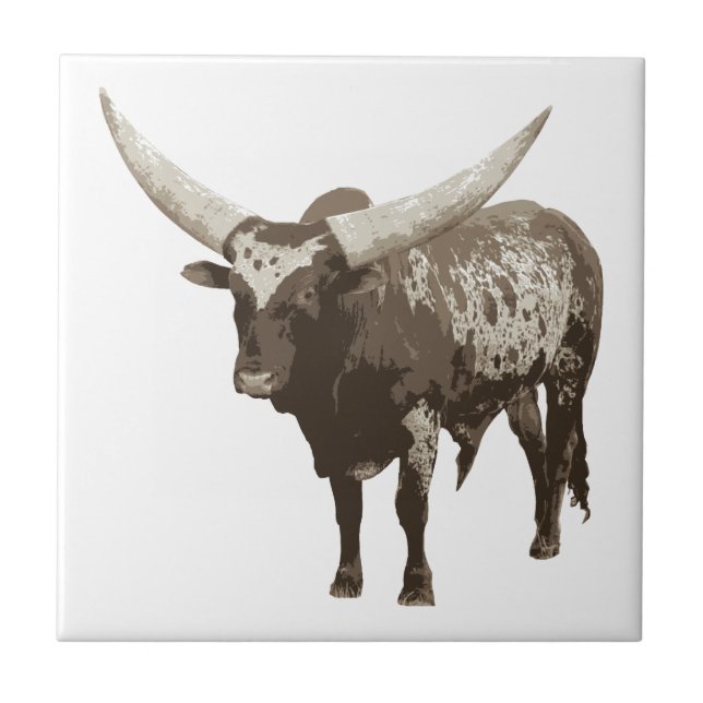 Watusi Cow (Frente)