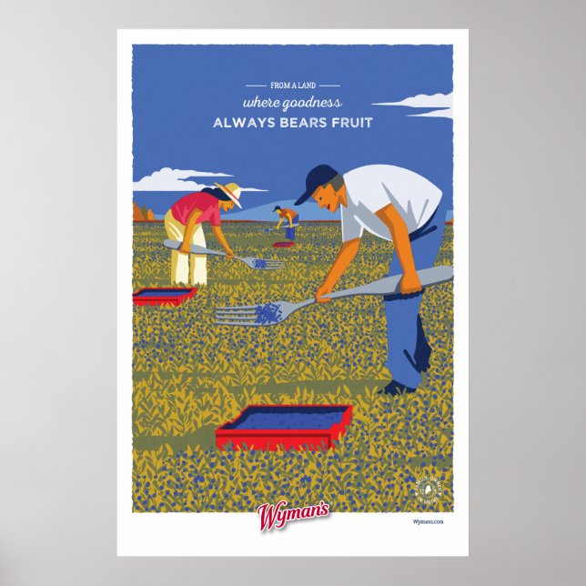 WBB Raking Poster (Frente)