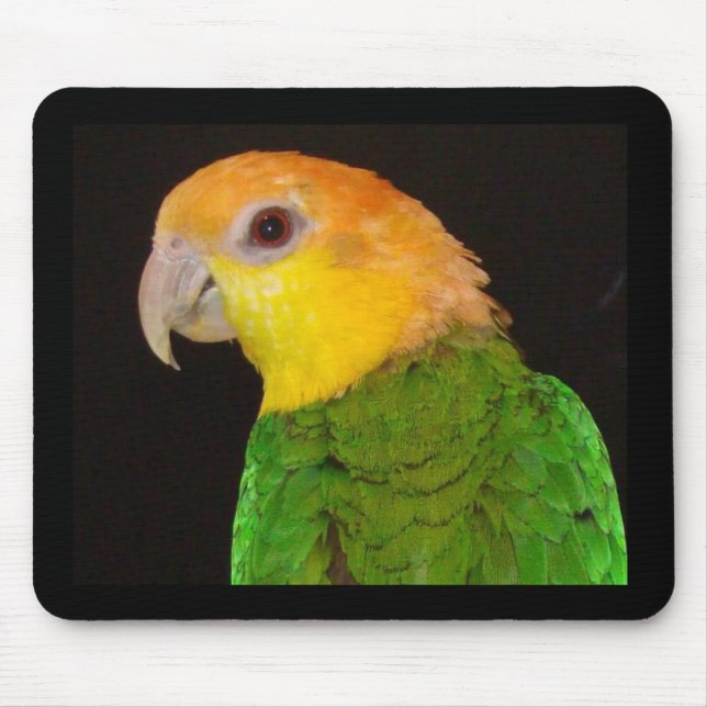 WBC Mousepad (Frente)