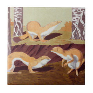 Weasel Animal Vintage Impressão