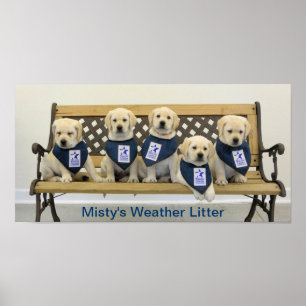 Weather Bench Poster