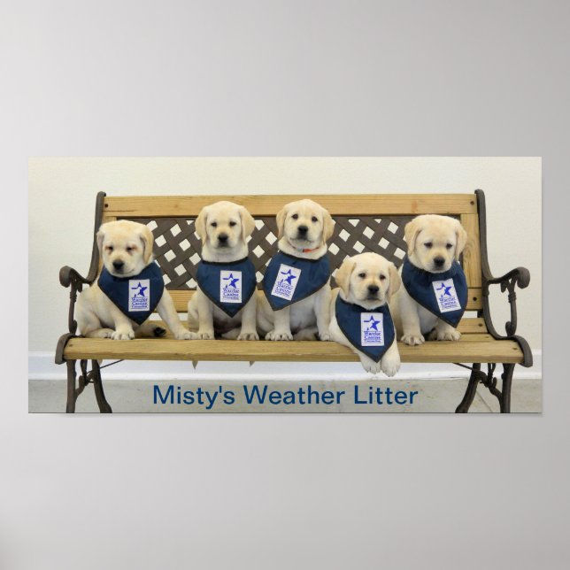 Weather Bench Poster (Frente)