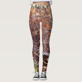 Web das Leggings de Aranha do Jardim Europeu