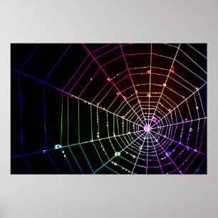 Web de aranha 1 impressão
