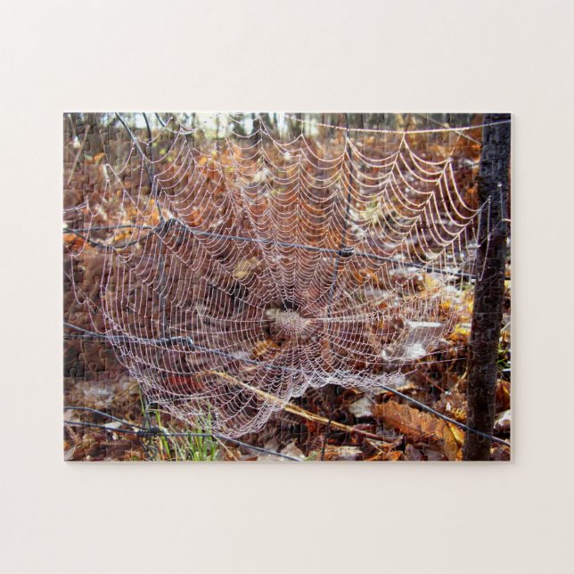 Web do quebra-cabeça europeu da foto da aranha de (Horizontal)