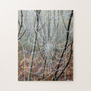 Web do quebra-cabeça europeu da foto da aranha de