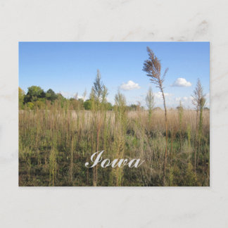 Weeds, Trees e Cartão Postal do Sky Iowa