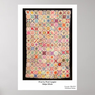 Week by Week Sampler Blocks Poster